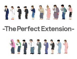 The Perfect Extension